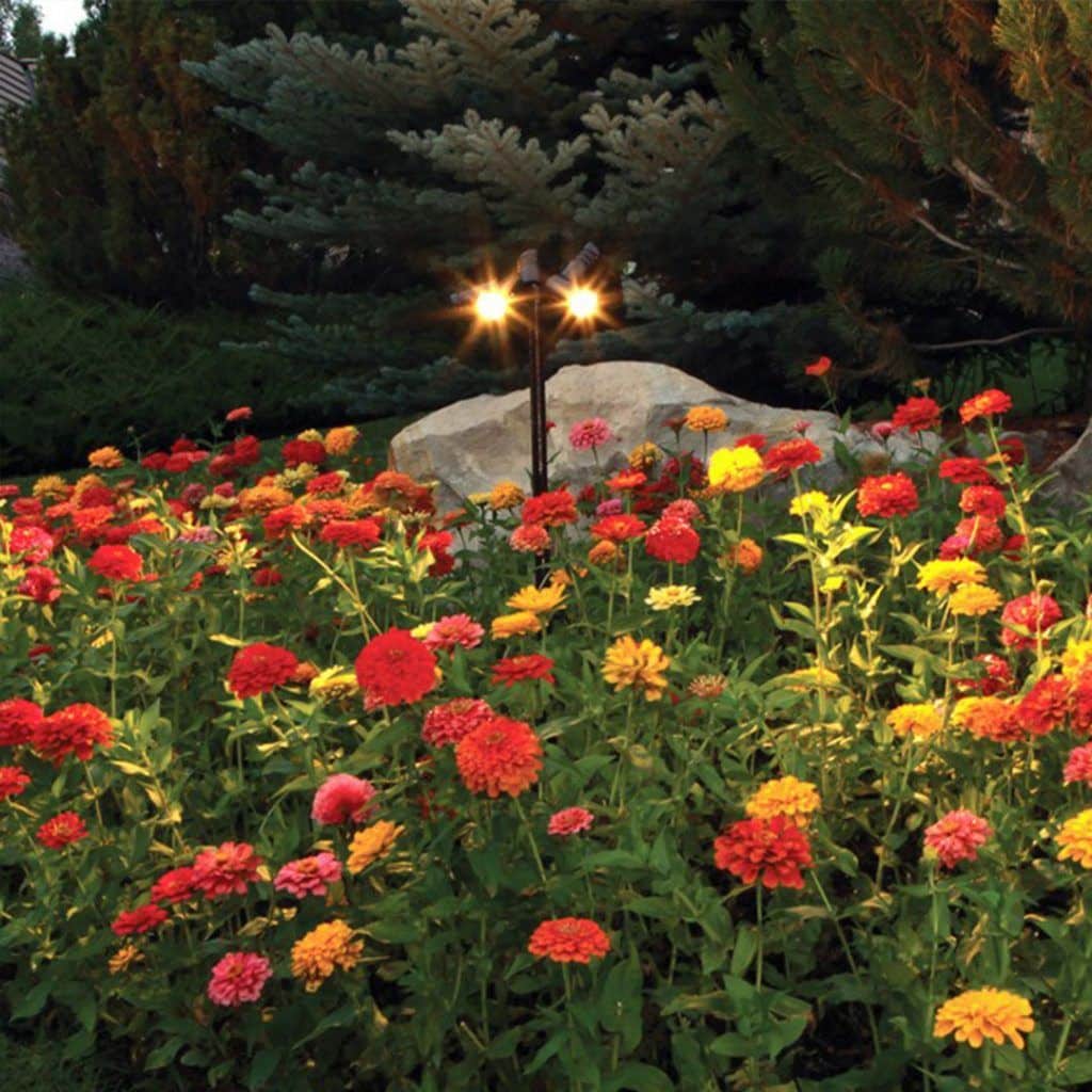 Landscape Lighting