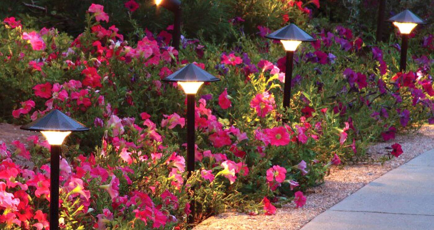 Garden Lights